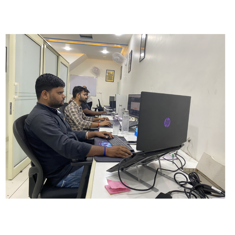 IndusMind Consultancy